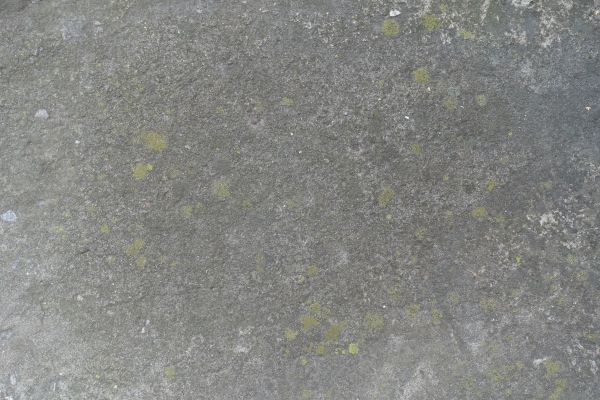 Cost of Slab Staining Service in Westerville